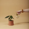 Big Hugs Pot
