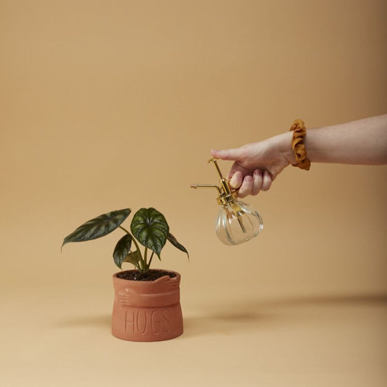 Big Hugs Pot